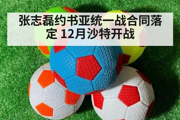 张志磊约书亚统一战合同落定 12月沙特开战